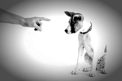 Why dominance theory is outdated